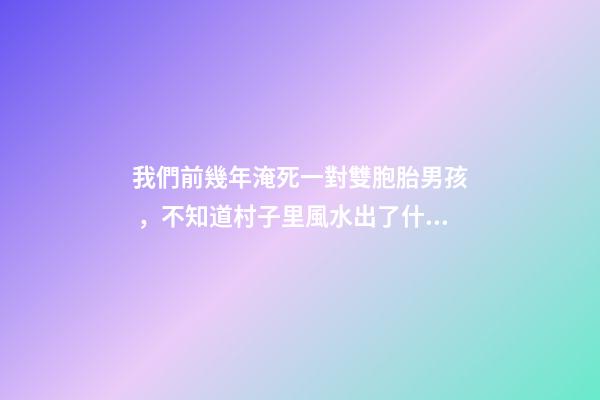 我們前幾年淹死一對雙胞胎男孩，不知道村子里風水出了什么問題導